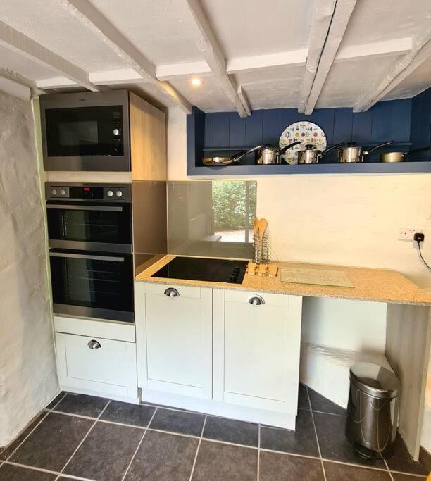 Mill Cottage Garden Annexe Newton Abbot Exterior photo