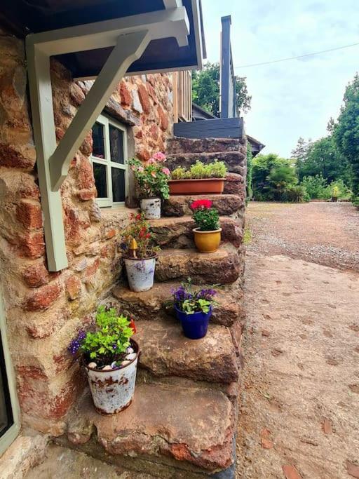 Mill Cottage Garden Annexe Newton Abbot Exterior photo